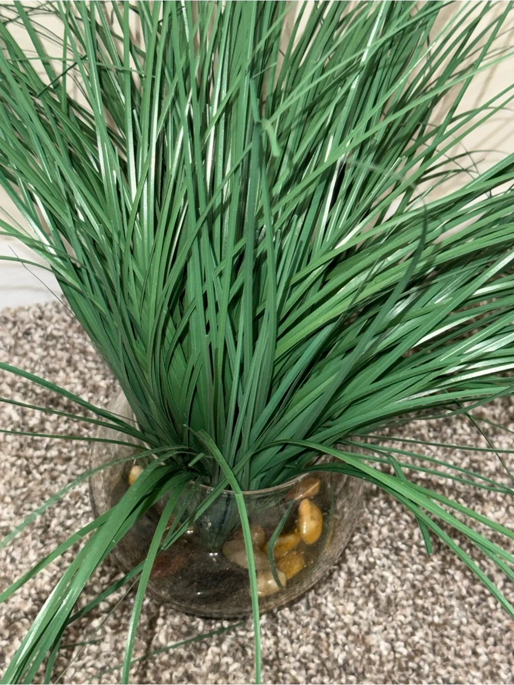 Artificial plant in glass round vase with rocks